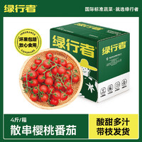 绿行者 散串樱桃番茄 盒装 礼盒 生吃西红柿 水果蔬菜零食小柿子 散串樱桃番茄 4斤