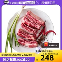 Mr.Meat 肉管家 原切牛肋條2kg牛肉新鮮牛腩條烤肉食材肉管家巴西