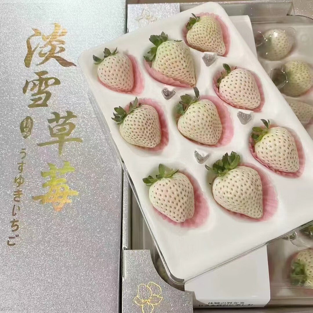 樱鲜淡雪草莓白色恋人白草莓礼盒当季新鲜水果产地 500g 18颗 1盒 装 精选淡雪草莓