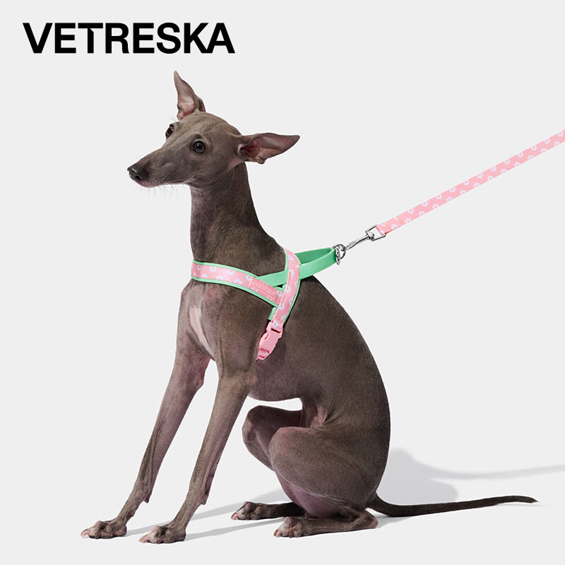 多少斤是大中小型犬 66274367be9b95960.jpg