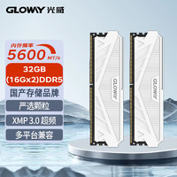 GLOWAY 光威 32GB(16GBx2)套装 DDR5 5600 台式机内存条 天策系列 助力AI