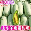 果香滋 山东现摘头茬羊角蜜甜瓜 水果新鲜当季水果 5斤带箱 中果普通装(单果250g+)