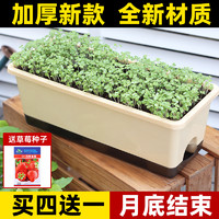 阳台种菜盆专用箱长方形蔬菜种植盆户外自吸水草莓盆栽塑料花盆大
