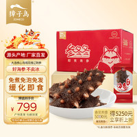 ZONECO 獐子岛 参冬冬 即食海参 21-30只 1.2kg 礼盒装