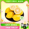 88VIP：喵满分 四川安岳黄柠檬5斤单果80g+新鲜水果整箱包邮