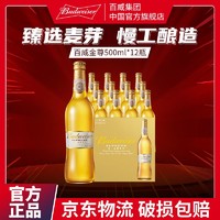 百亿补贴：Budweiser 百威 金尊500ml*12瓶整箱大瓶啤酒麦芽精酿啤酒尊遇之享口感顺滑