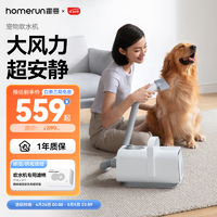 Homerun 霍曼 宠物吹水机 狗狗大功率电吹风机大型犬洗澡吹毛器猫咪吹毛器