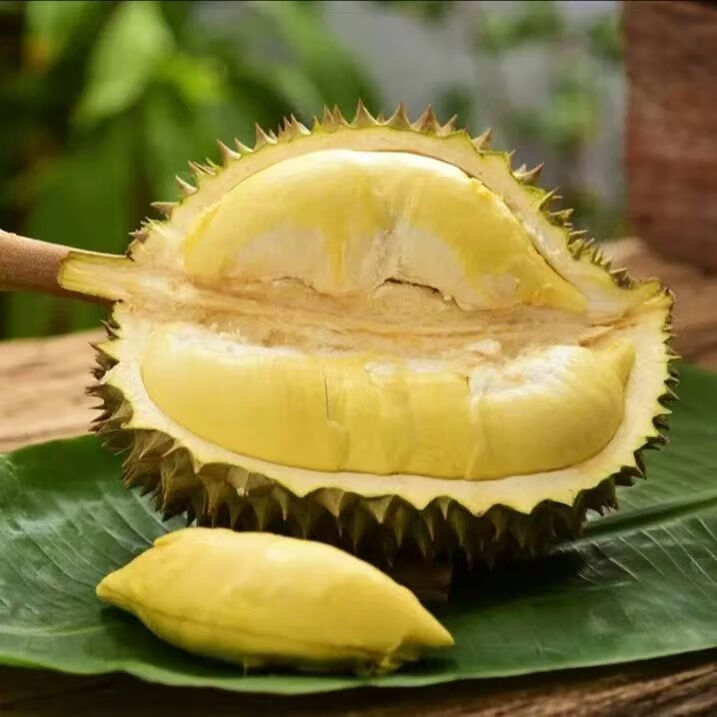 冰茜泰国榴莲托曼尼迷你巴掌榴莲整个当季新鲜榴莲水果 筛选托曼尼巴掌榴莲 单果2-3斤（包3房）