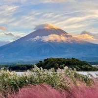 日本旅游出行必備！全日本通用交通卡西瓜卡、suica關西大阪、icoca北海道、地鐵巴士JR等交通卡套餐