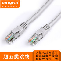 tengfei 騰飛超五類非屏蔽電腦成品網線網絡跳線上網線1米