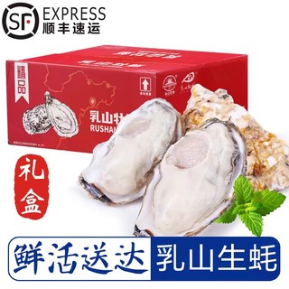 特大号！源头直发！乳山生蚝 5XL 5.5斤 （带官方溯源防伪标识、死蚝包赔)