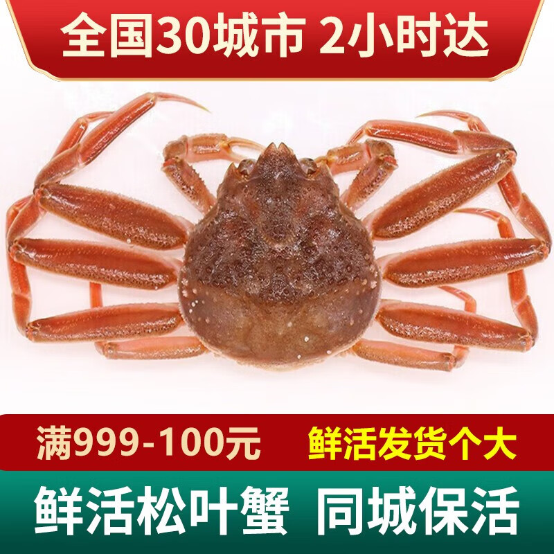 【活鲜】松叶蟹俄罗斯鲜活板蟹活蟹海鲜水产 1.8-2.0斤/1只