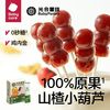 百亿补贴：babycare 光合星球山楂葫芦棒棒糖无添加白糖开胃零食*2盒