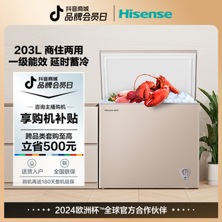 Hisense 海信 BCD-206NUD冰柜家用小型商用冷藏冷冻双温保鲜立式冷柜节能