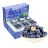 柚萝现货新鲜蓝莓特大果现摘现发 蓝莓鲜果新鲜水果宝宝护眼鲜果 精选新鲜蓝莓 125g*6 盒 单 果 15 -18mm