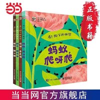 百亿补贴：看!脚下的世界(全4册) 当当