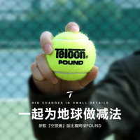 Teloon 天龙 网球业余比赛练习罐装全场地高弹耐打专业训练球 POUND-3（3粒装/红蓝罐/1听）