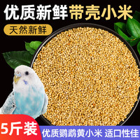 再再 鳥糧新黃谷子鸚鵡專用飼料食糧帶殼小米虎皮玄鳳牡丹玉鳥珍珠鳥食