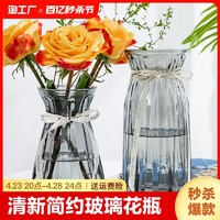 姝好 兩件套玻璃花瓶水培鮮花富貴竹水養植物插花瓶客廳裝飾臺面家居