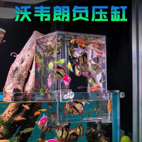 VOONLINE 沃韋朗 負壓魚缸生態缸 造景裝飾全套小型魚缸桌面斗魚缸水族