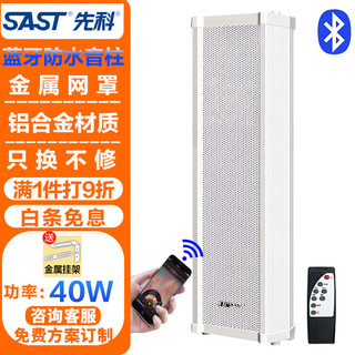 SAST 先科 YL-21蓝牙防水音柱音箱 40W