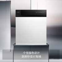 FOTILE 方太 熊貓洗碗機V6嵌入式家用 16套超大容量 100℃蒸汽除菌 WiFi手機智控 個性黑白撞色設計02-B-V6