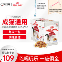 ROYAL CANIN 皇家 主食猫湿粮85g*12包/24包+送咬绳玩具