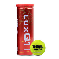 天龙（Teloon） 网球比赛训练习用球桶装P4高弹耐磨 LUXQ1 (三只装)