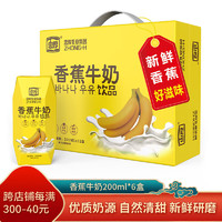 忠厚乳業 忠厚乳业香蕉牛奶营养早餐乳制品200ml×6盒