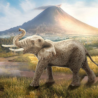 Schleich 思乐 仿真动物模型大象野生动物儿童玩具非洲公象14762