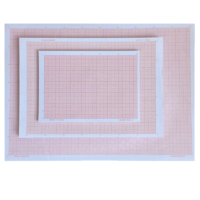 TIANSHUN 天顺 坐标纸计算纸A4 A3 A2绘图纸对数红色格子加厚座标纸毫米格子标准款 A4/16开(17*25厘米)加厚100张