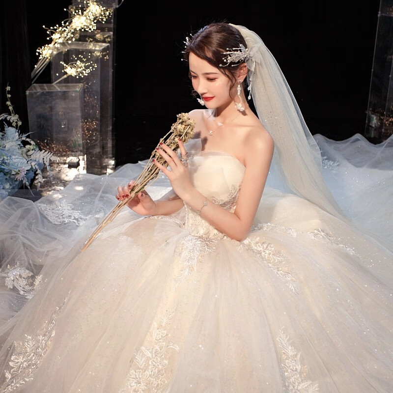 红妆饰佳 抹胸轻婚纱礼服2024新娘气质公主风星空简约拖尾主婚纱 浅香槟齐地 M