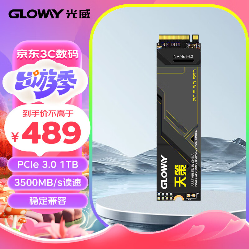 光威（Gloway）1TB SSD固态硬盘 M.2接口(NVMe协议) PCIe 3.0x4 天策系列