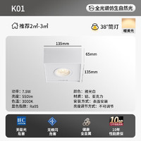 Paulmann P德国柏曼防眩光斗胆灯LED明装筒灯方形客厅卧室玄关无主灯 【单灯】 暖黄光 <38°  明装