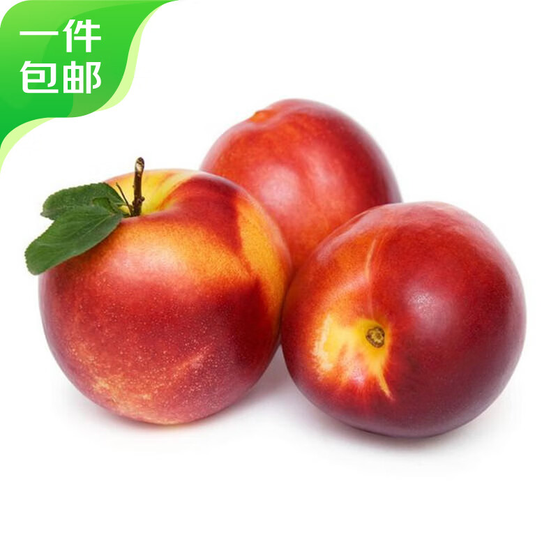 京鲜生 山东红油桃净重4.5斤 单果70g+ 新鲜水果 源头直发