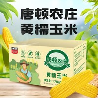 太粮 黄糯玉米220g23年新玉米大棒真空包装新鲜糯玉米甜糯玉米大棒8根
