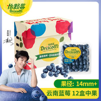 怡顆莓 Driscoll's 云南藍莓14mm+ 原箱12盒禮盒裝 125g/盒 新鮮水果禮