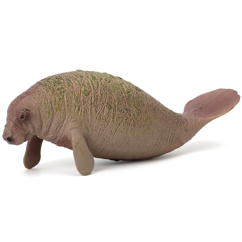 玛奇乐（MECHILE）仿真海洋动物模型玩具套装海牛龙虾寄居蟹河豚飞鱼儿童 海牛