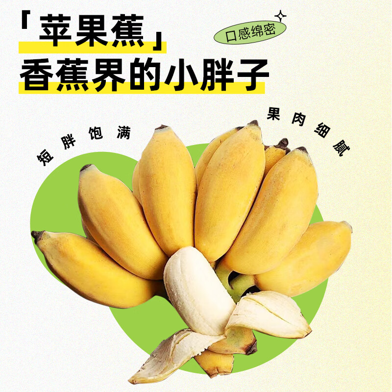 肴池水果香蕉苹果蕉小米蕉芭蕉水培香蕉可食用禁止焦虑国产自然熟 尝鲜不带杆约 3斤 青蕉需催熟变黄后食用