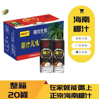 椰盛 整箱正宗海南果肉椰子汁罐装椰汁生榨果肉椰子水饮品批发价椰奶