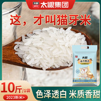 百亿补贴：太粮 猫牙米5kg象牙香米长粒香软新米10斤大米晚稻煲仔饭米正品
