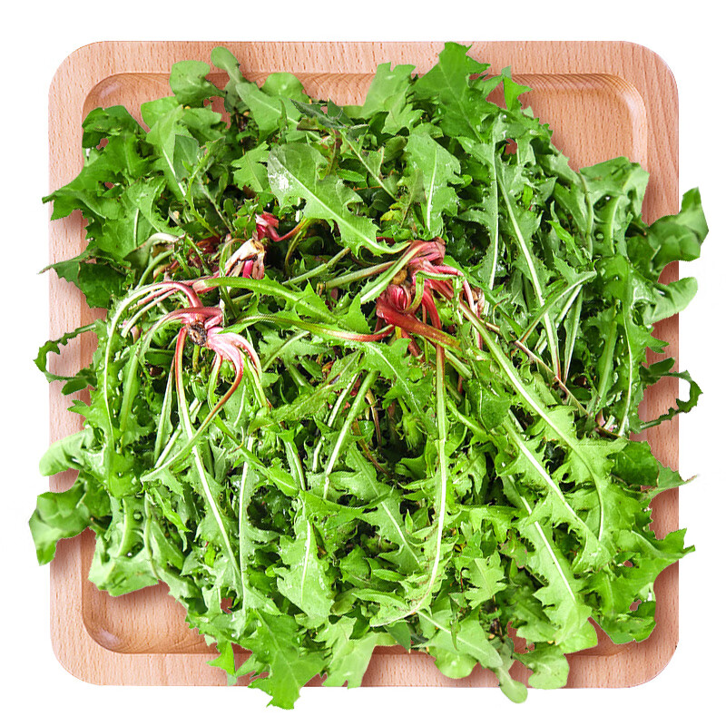 婆婆丁学名叫什么菜 663ed64d577991610.jpg