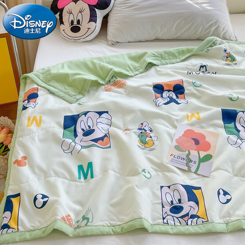 迪士尼（Disney）A类空调被儿童被子幼儿园午睡用抗菌水洗夏被盖毯145*110cm 快乐家族
