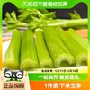 88VIP：美植盒子 包郵叢林千味壽光直發西芹新鮮榨汁綠色蔬菜鮮嫩芹菜健身輕食
