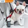 DOGNESS 多尼斯 寵物汽車安全帶小狗汽車安全扣大中小型犬狗狗外出車載用品