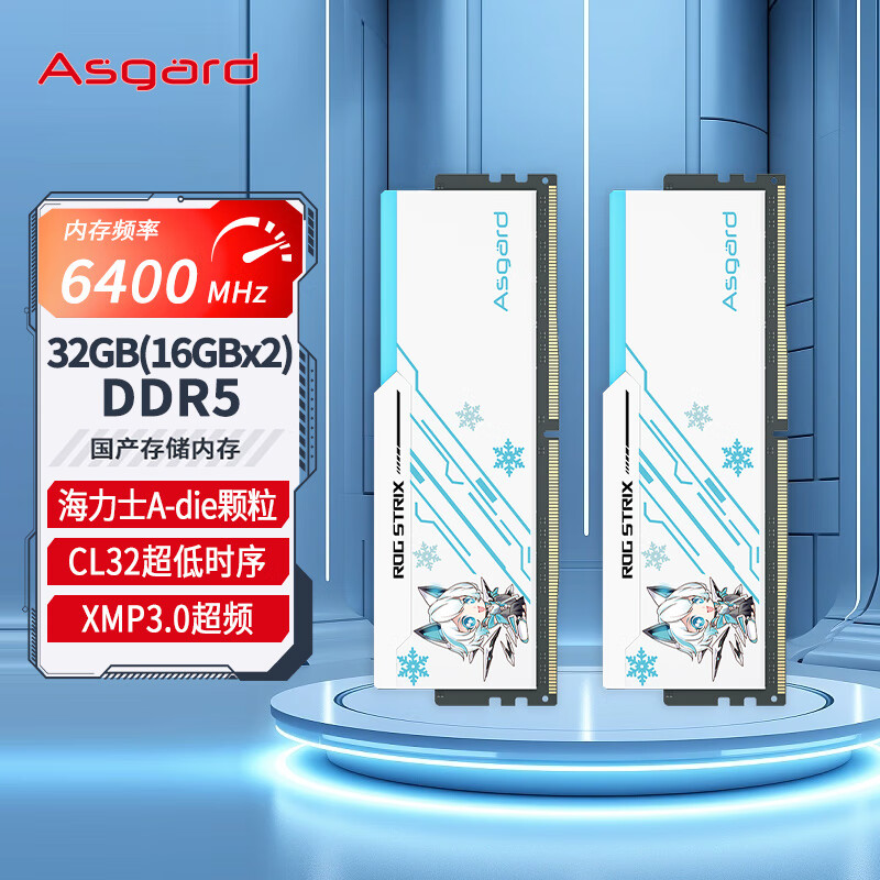 阿斯加特（Asgard）套 DDR5 6400 台式机内存条 吹雪联名款马甲