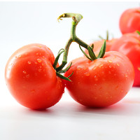 GREER 綠行者 普羅旺斯番茄5斤裝自然熟番茄