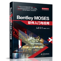 Bentley MOSES软件入门与应用
