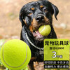 悠梵萌 狗玩具球耐咬戶外球小中大型犬磨牙彈力寵物訓練球網球3個裝