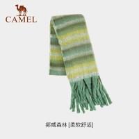 CAMEL 駱駝 圍巾女2023秋冬韓版潮百搭馬海毛格子披肩情侶圍脖保暖高級感